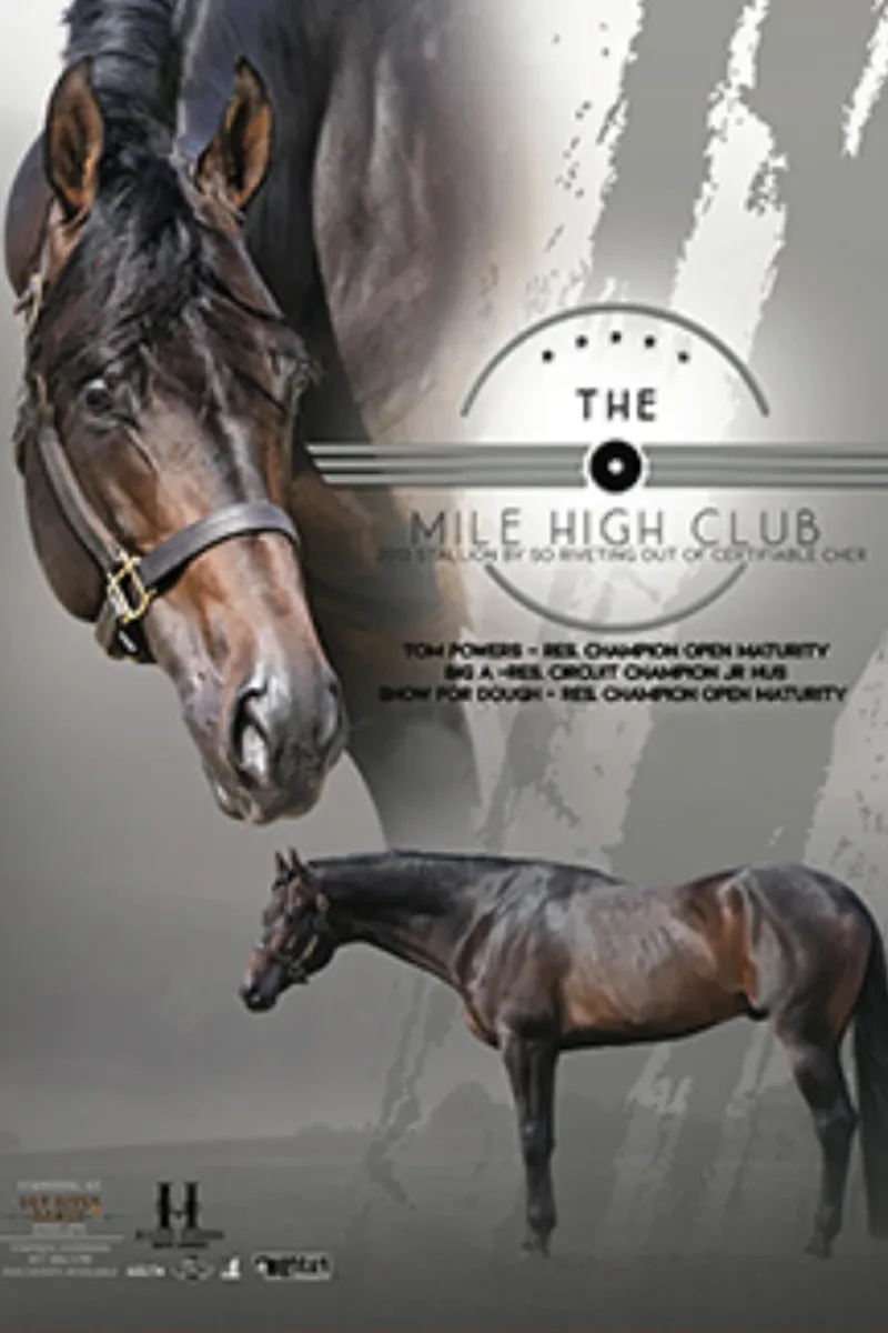 The Mile High Club Stallion at Dry River Ranch Texas