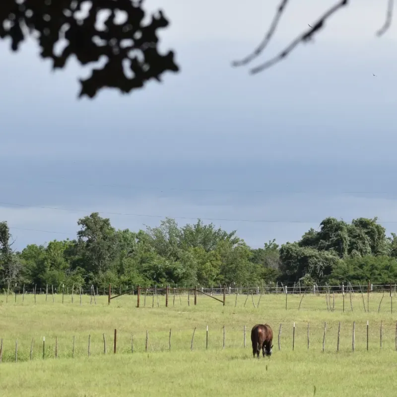 Dry River Ranch.Stallion Station offers Beautiful view in Weatherford Texas