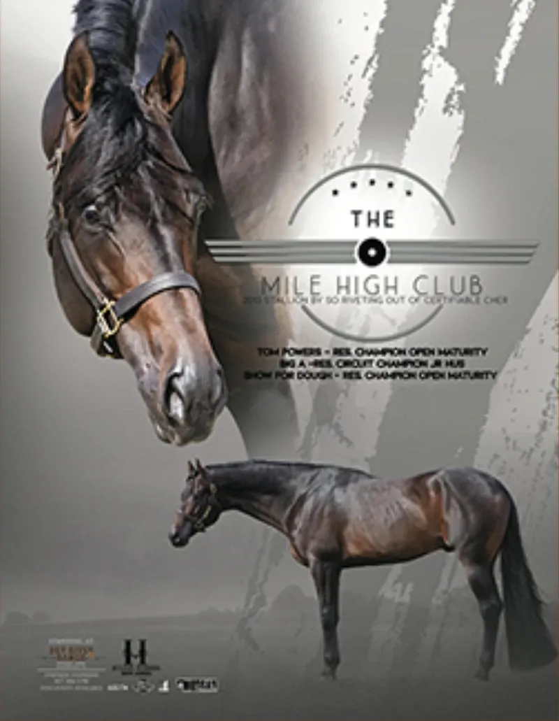 The Mile High Club Stallion at Dry River Ranch Texas