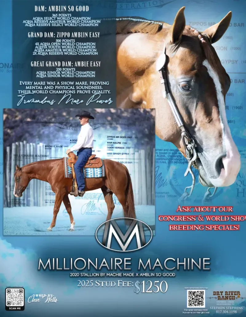 Stallion - Millionaire Machine