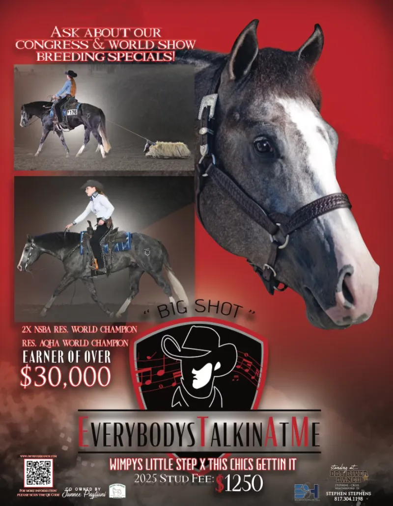 Everybodys Talkin At Me Stallion Poster