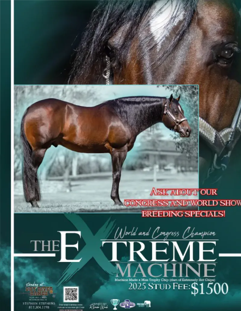 The Extreme Machine Stallion Poster