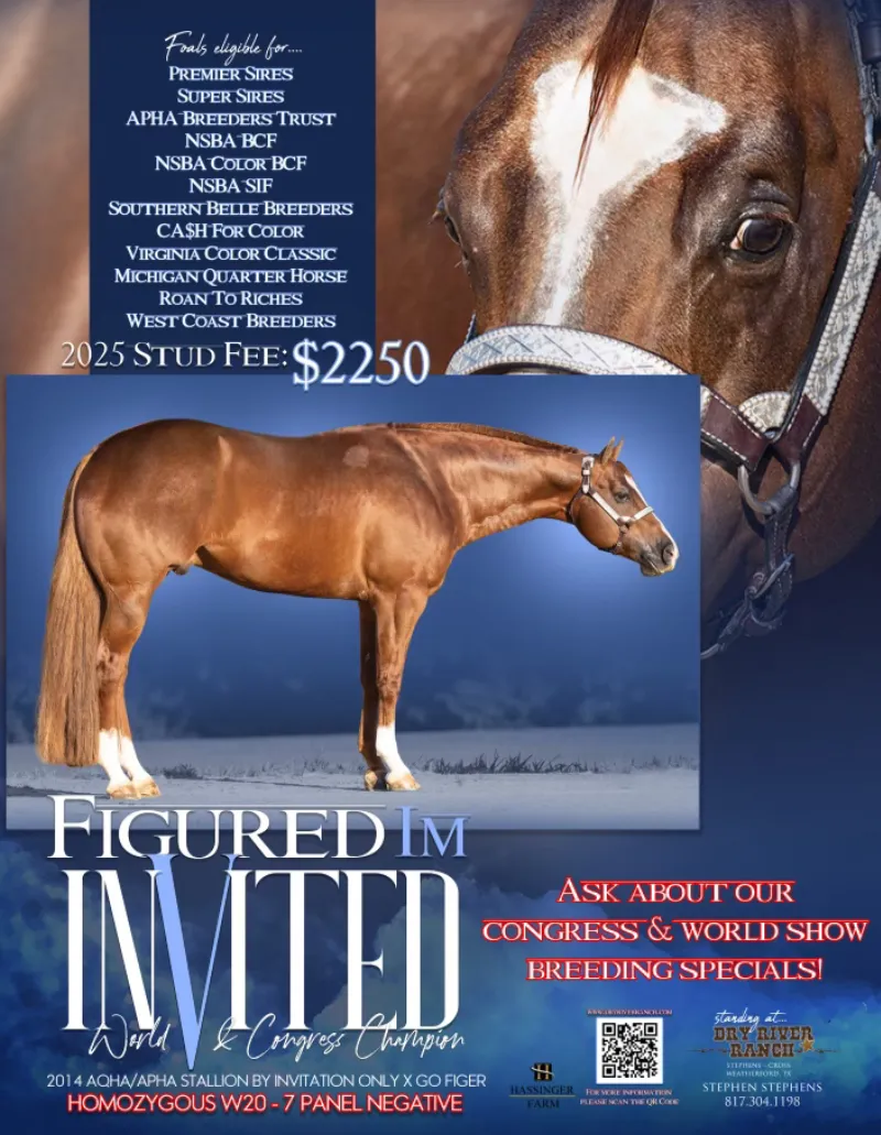 Figurd I'm Invited Stallion Poster