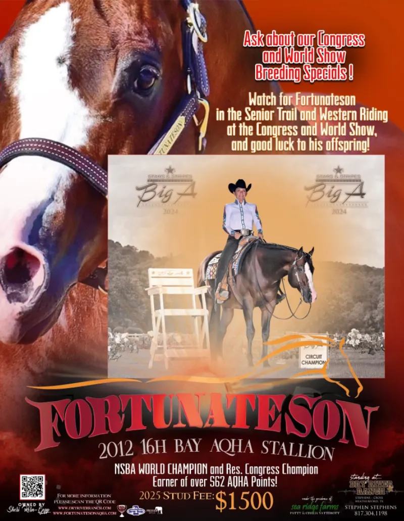 Fortunate Son Stallion Poster